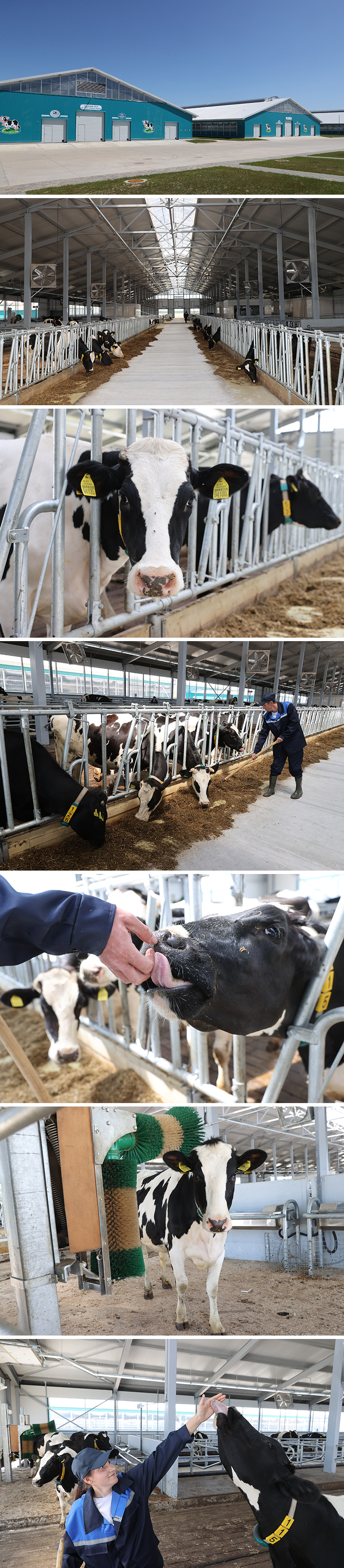 Dairy Farm of Orsha Meat Processing Plant