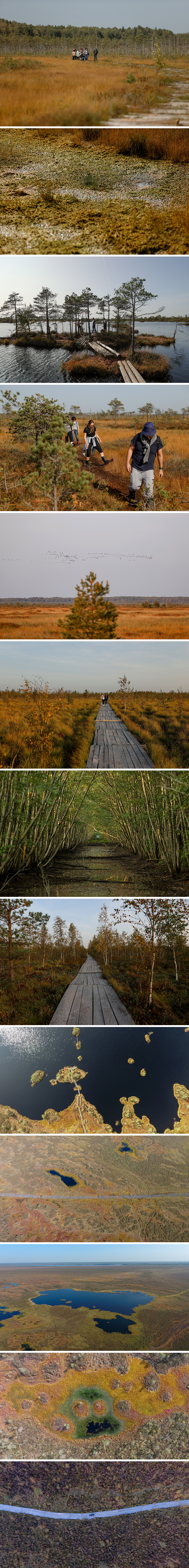 Yelnya, one of the largest swamps in Europe