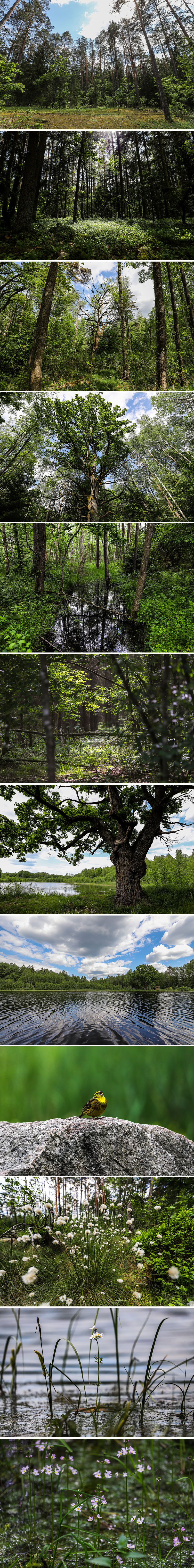 Национальный парк 