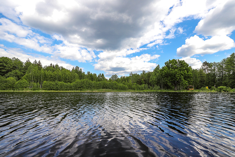 Озеро Плянта в Беловежской пуще