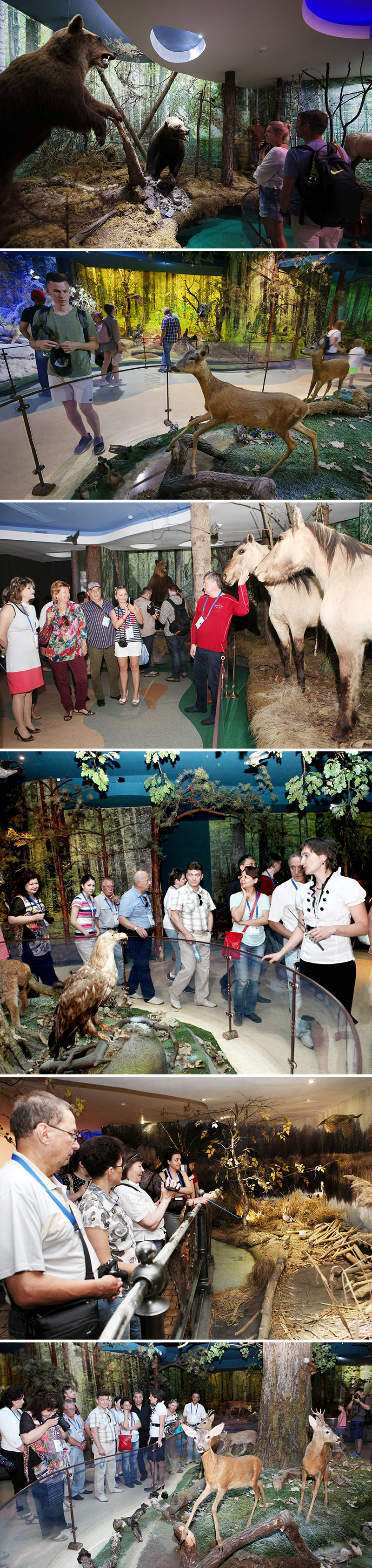 Nature Museum in the Belovezhskaya Pushcha National Park