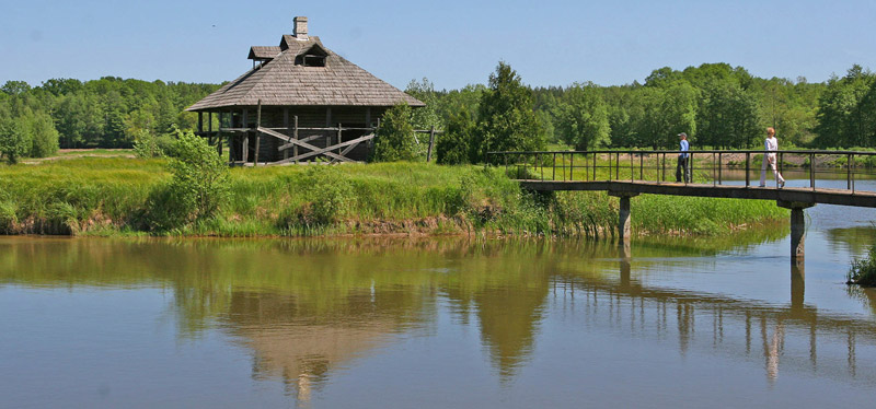 A forest lake, Belovezhskaya Pushcha