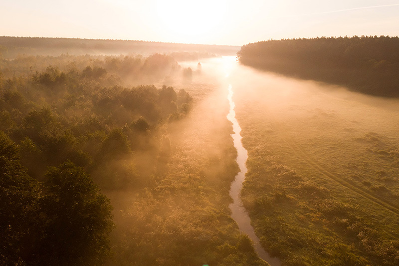 Early morning in Belovezhskaya Pushcha