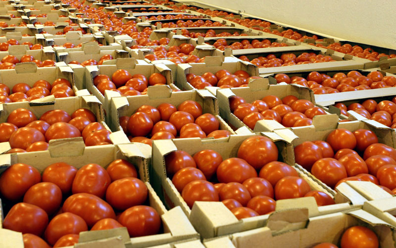 Belarusian vegetables