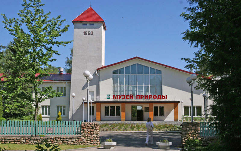The museum of nature in the Belovezhskaya Pushcha National Park
