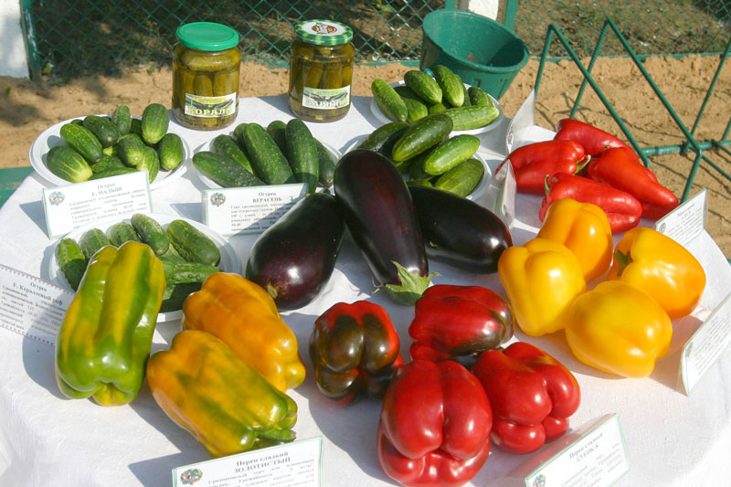 Belarusian vegetables
