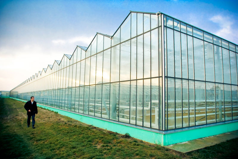 Greenhouse center in Brest