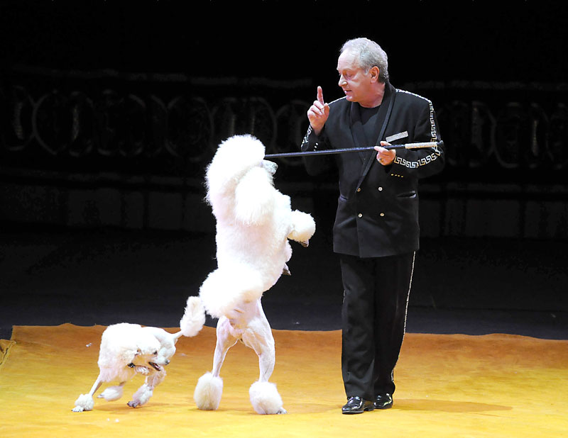 Art-i-Shok show at Belarusian Circus