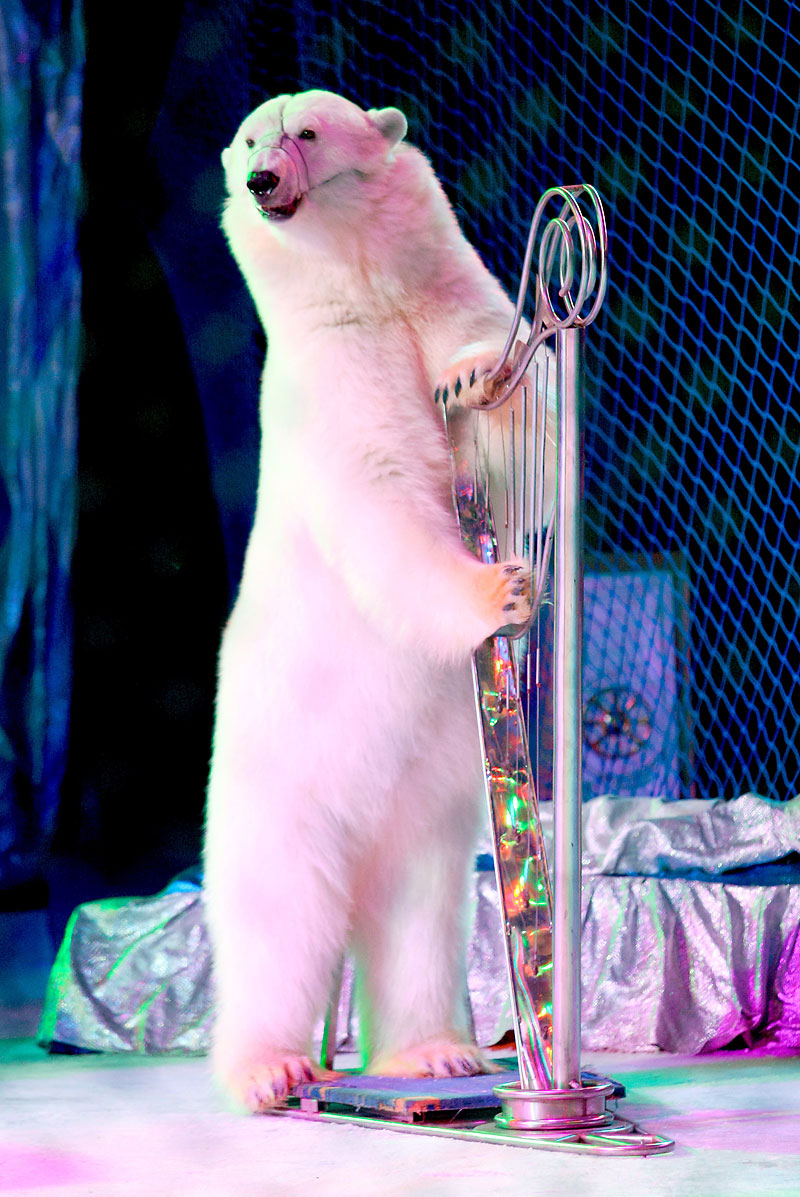 Ice Planet show at Belarusian Circus