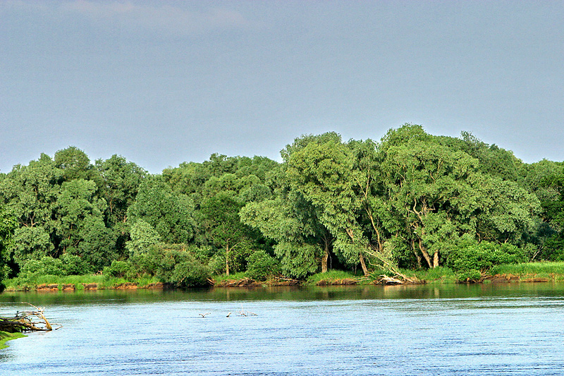 National Park Pripyatsky