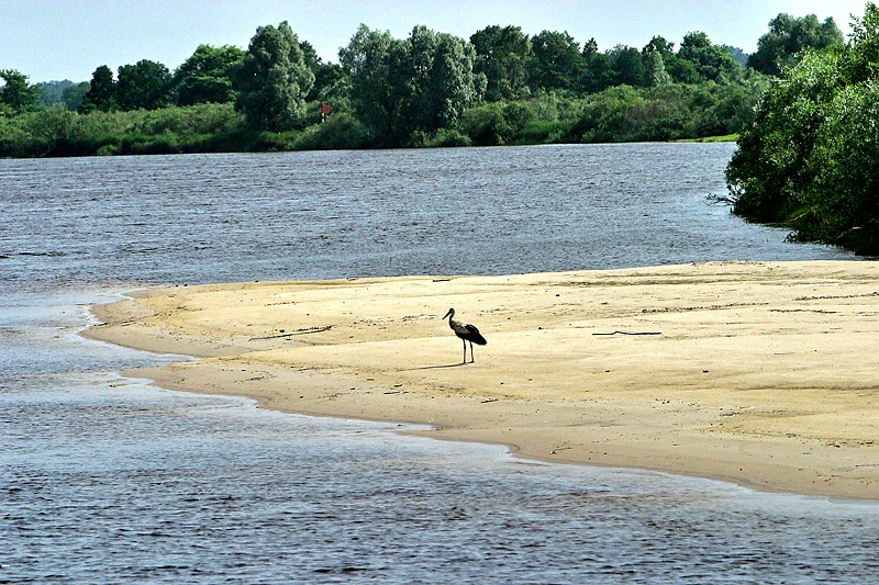 National Park Pripyatsky