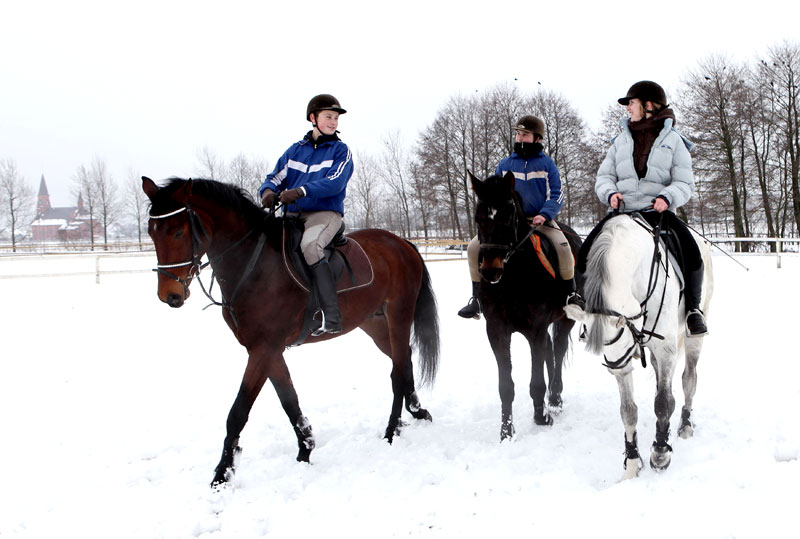 Horse riding lessons