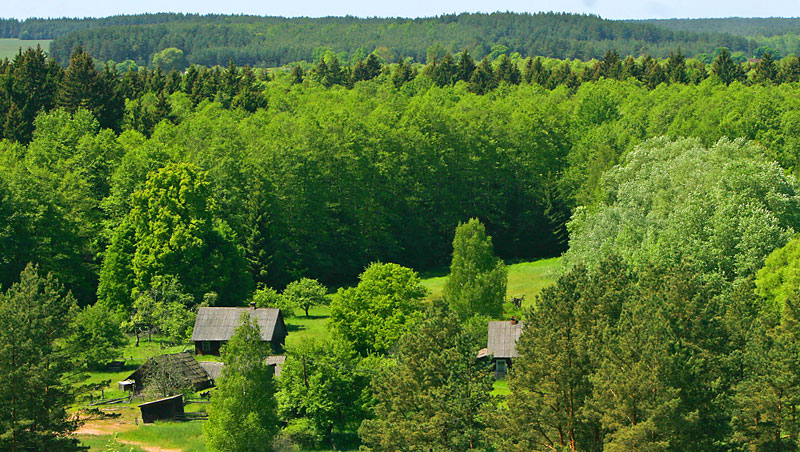 A bird's eye view of Belovezhskaya Pushcha