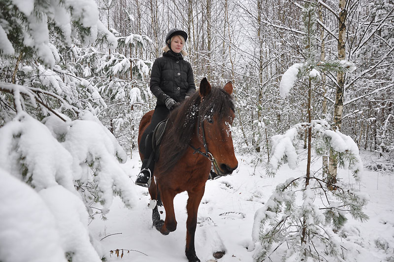 A horse-riding tour in winter