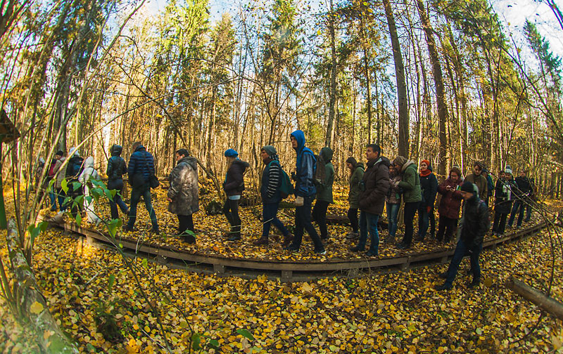 A tour along the Forbidden Forest Track