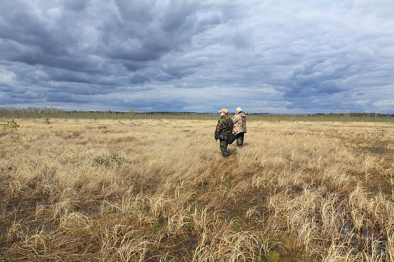 A swamp tour in Berezinsky Biosphere Reserve