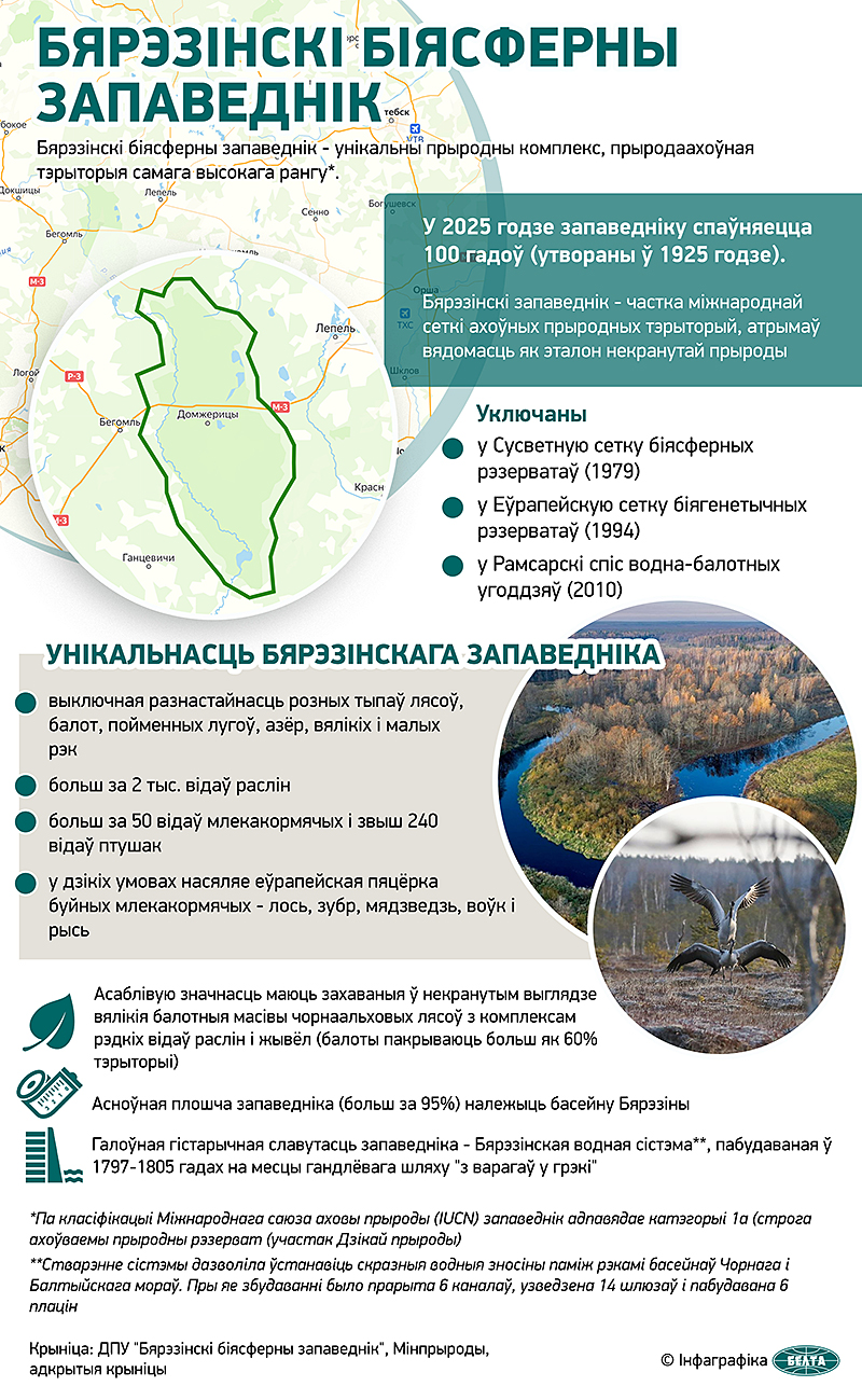 Бярэзінскі біясферны запаведнік