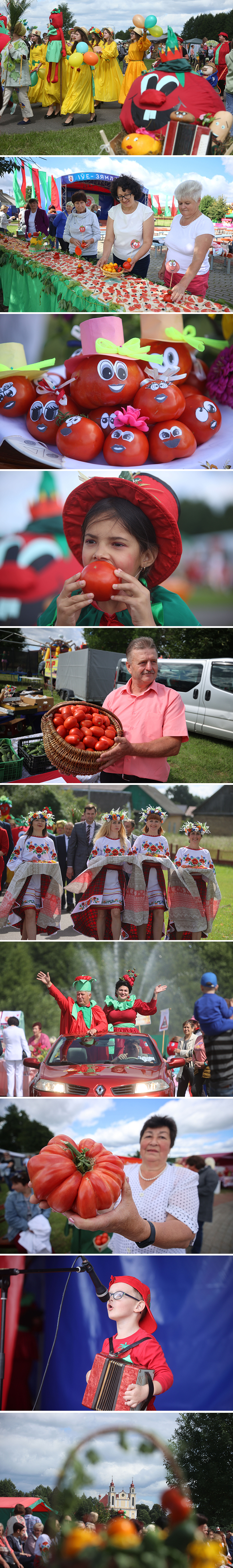 Ivye tomato festival 2021