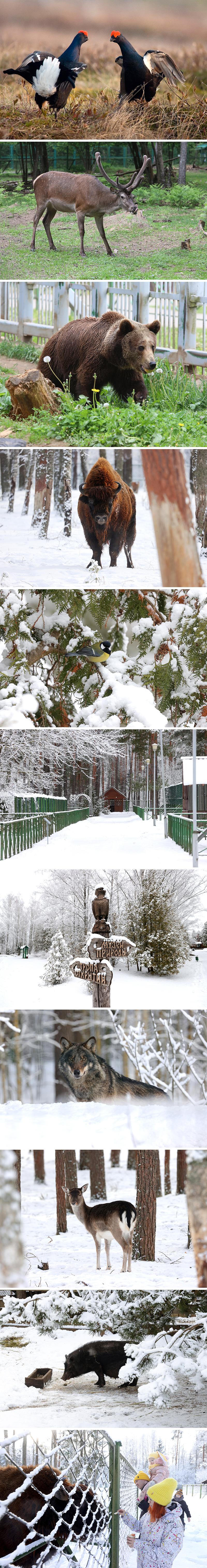 Berezinsky Biosphere Reserve