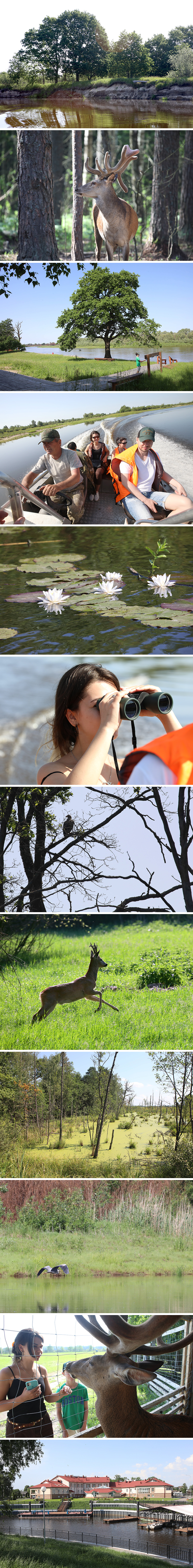 Pripyatsky National Park