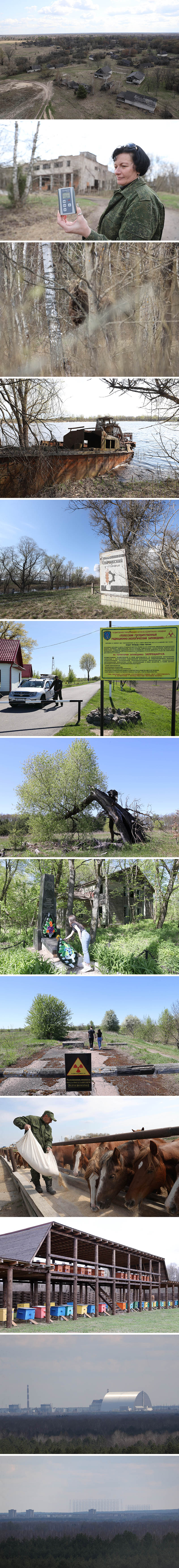 Polesie State Radiation and Ecology Reserve