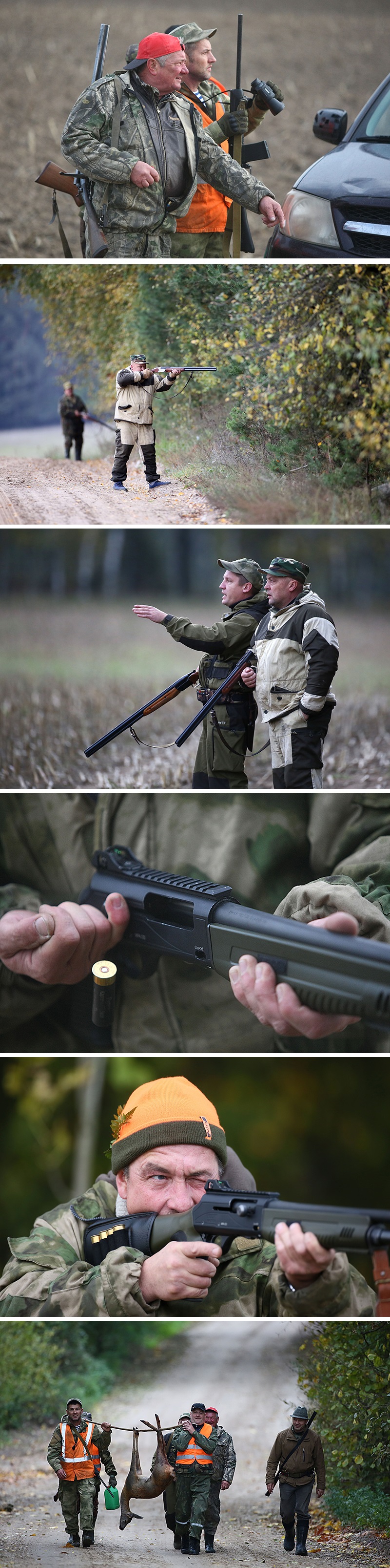 Загоннае паляванне на капытных у Гродзенскай вобласці