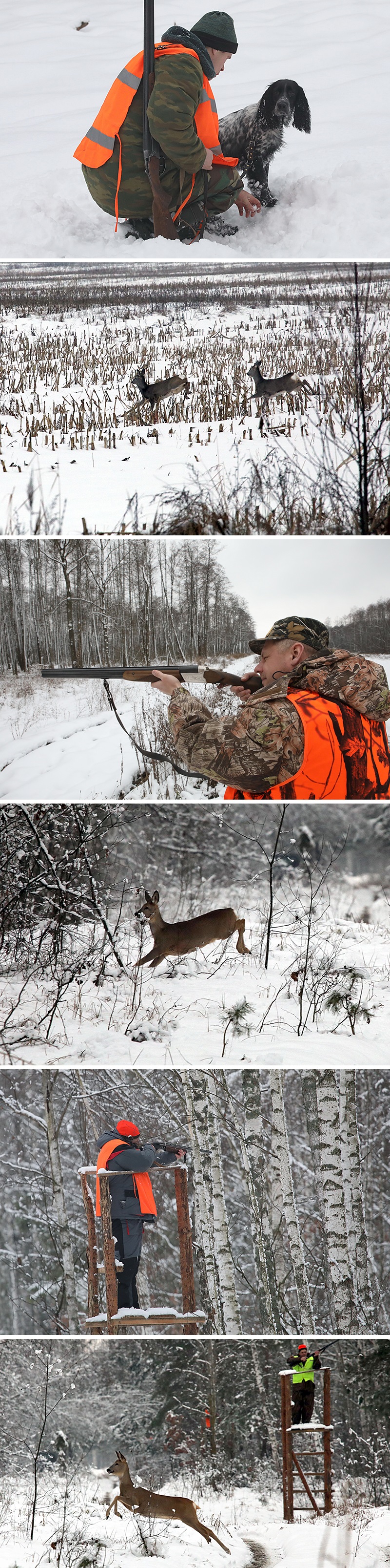 Паказальнае паляванне на капытных у Гомельскай вобласці