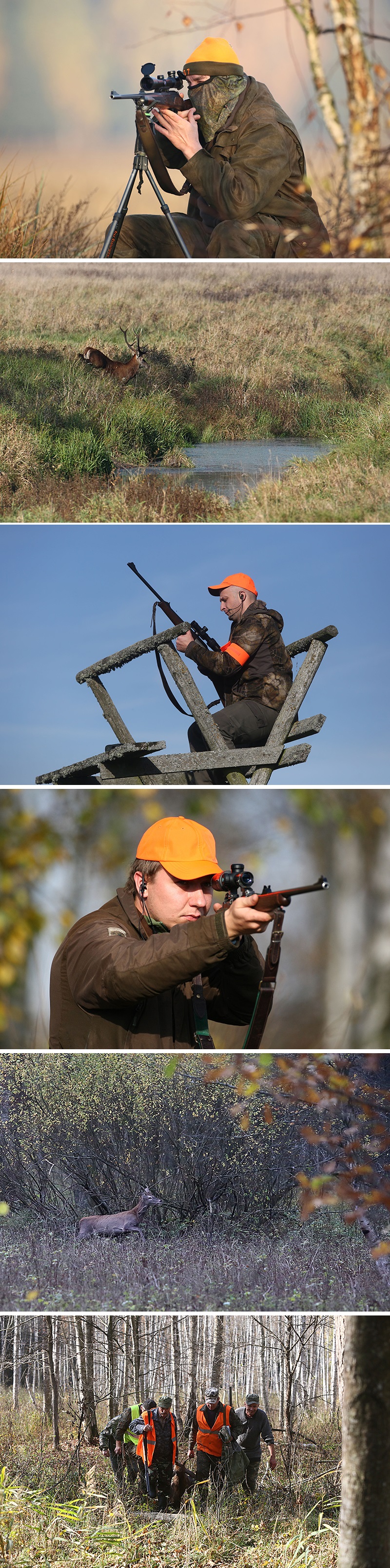 Загоннае паляванне на капытных у Брэсцкай вобласці