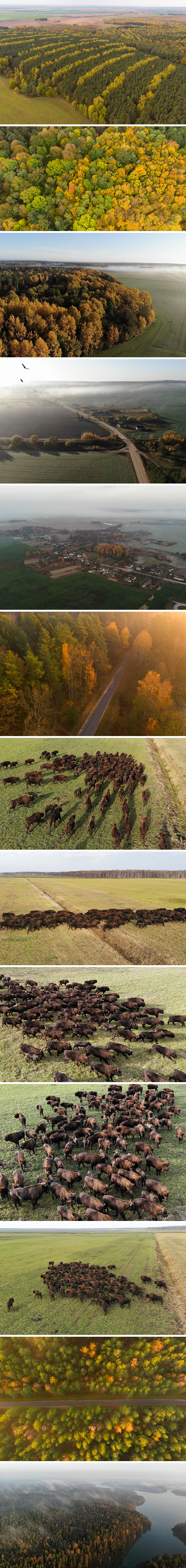 Рэспубліканскі ландшафтны заказнік 