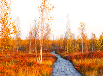 Yelnya reserve in autumn