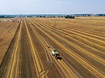 In the fields of Kukhtichy, Kletsk District