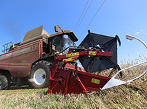 Harvest time at Agronemansky, in Stolbtsy District