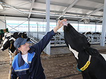 Dairy Farm of Orsha Meat Processing Plant