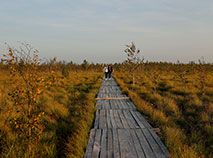 Yelnya, one of the largest swamps in Europe