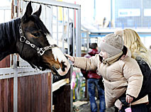 Международная выставка-шоу породистых лошадей в Минске