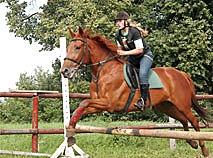 Ostromechevo horse riding school