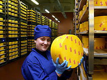 Производство сыров 