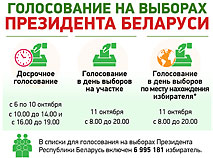 Голосование на выборах Президента Республики Беларусь