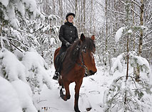 A horse-riding tour in winter
