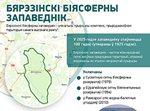 Бярэзінскі біясферны запаведнік