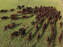Ozery Landscape Reserve