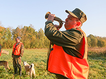 Загоннае паляванне на лася ў Мінскай вобласці