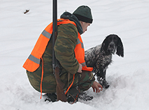 Паказальнае паляванне на капытных у Гомельскай вобласці